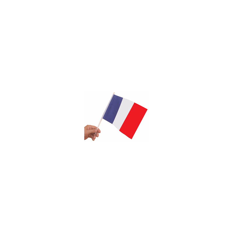 Drapeaux 20 x 30 bleu blanc rouge x 10 sur hampe de 50 cm - papier