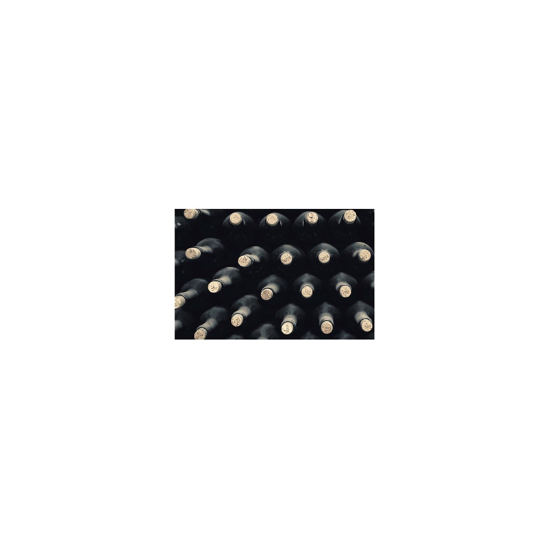 Visuel imprimé Vendanges Bouteilles - 40 x 30 cm sur bristol 350 gr