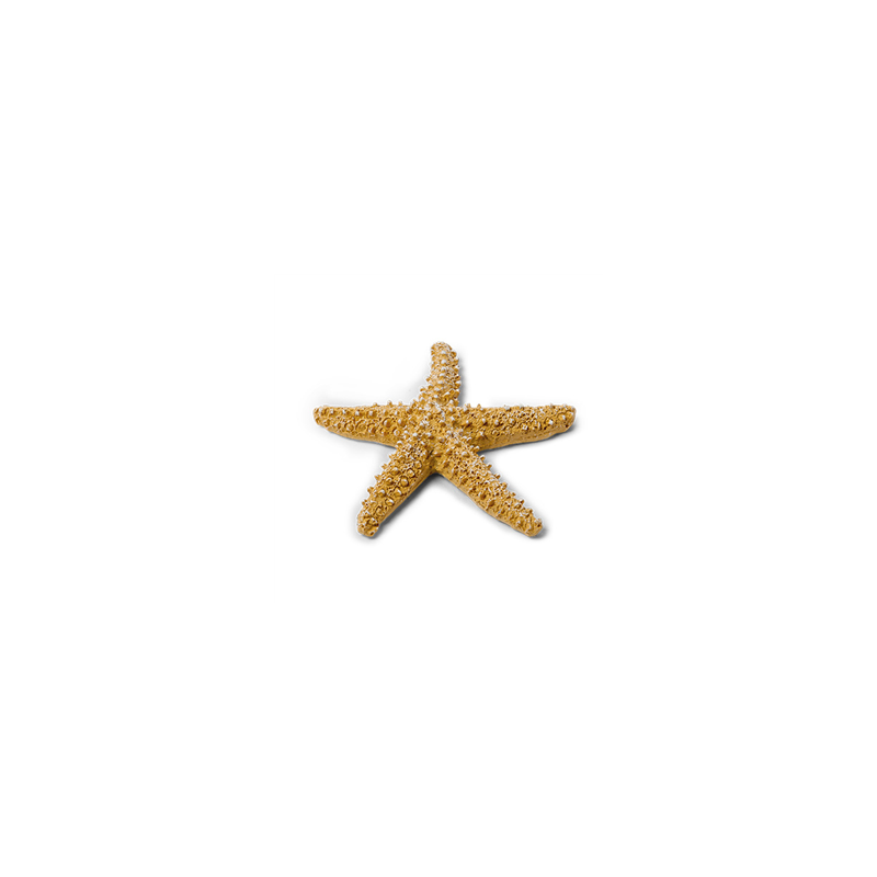 Étoile de mer en résine beige 6,5cm