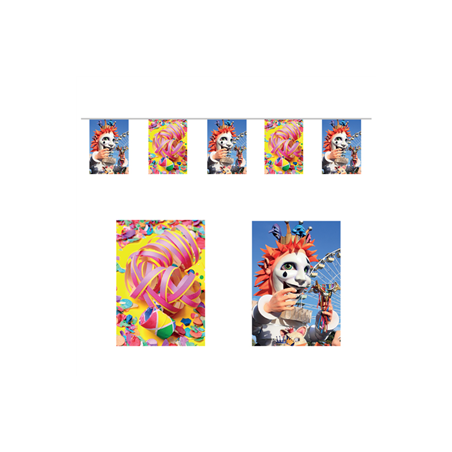 Guirlande Carnaval 10 fanions 21 x 30cm - papier Long. 420cm