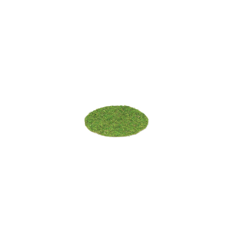 Set de Table Végétal Mousse Naturelle - Diam. 35 cm