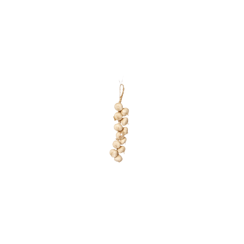 Tresse d'ails - polystyrène/paille - Long. 50cm