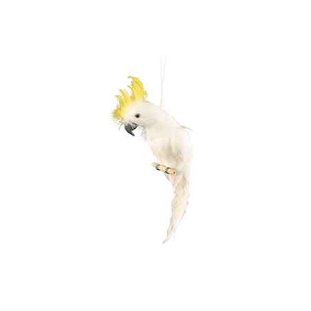 Perroquet blanc crête jaune 11 x 45cm