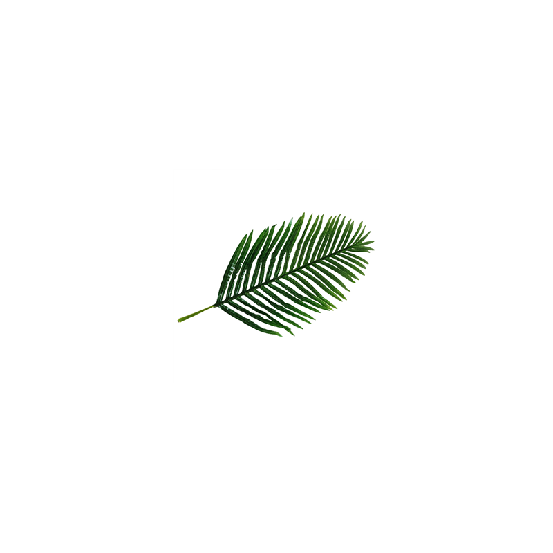 Feuille de palmier majestueux artificiel - 75 x 40 cm