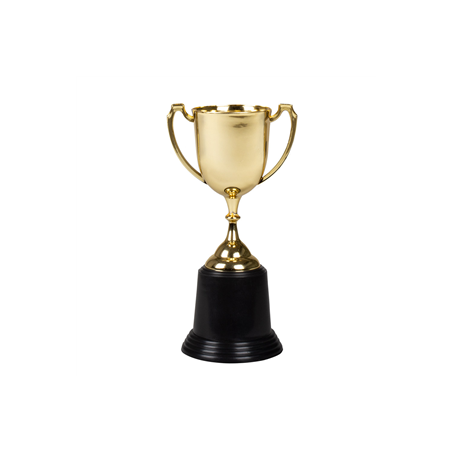 Trophée doré des champions Haut. 22 cm