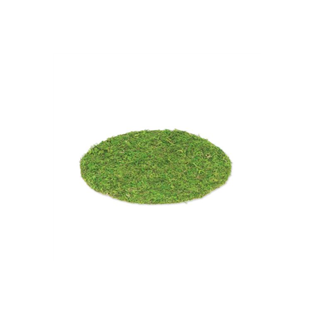 Set de Table Végétal Mousse Naturelle - Diam. 35 cm