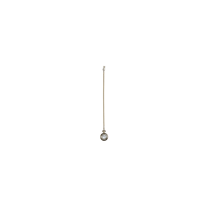 Montre de poche à gousset 22 cm