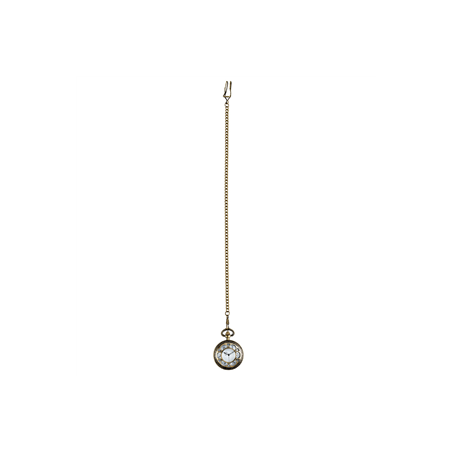 Montre de poche à gousset 22 cm Montre de poche à gousset 22 cm
