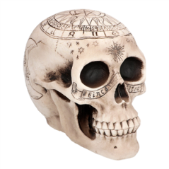 Tête de mort astronomy plastique 14 x 20cm