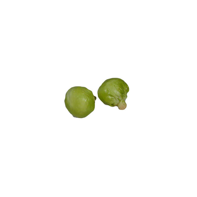Choux lot de 2 - PVC
