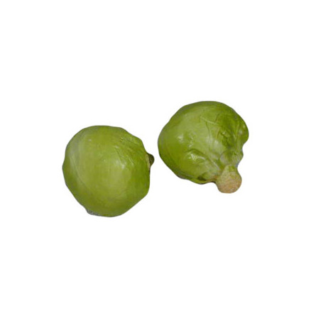 Choux lot de 2 - PVC Choux lot de 2 - PVC
