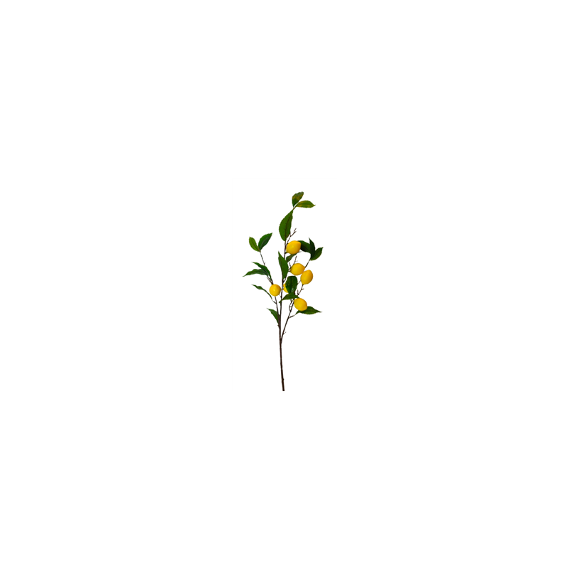 Branche de citrons et feuillage - Tige 85cm - fruits et feuilles sur 55cm