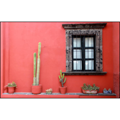 Visuel imprimé Mexique Cactus  et  Façade rouge - 40 x 30 cm sur bristol 350 gr