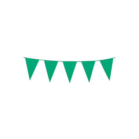 Guirlande de fanions verts 30 x 20cm - plastique Long. 10m