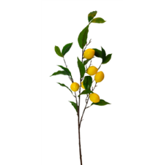 Branche de citrons et feuillage - Tige 85cm - fruits et feuilles sur 55cm