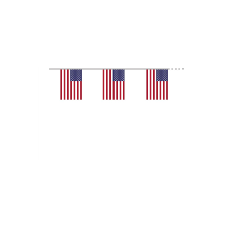 Guirlande USA 10 fanions 21 x 30cm - papier Long. 520cm