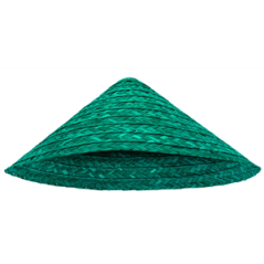 Chapeau conique en paille tressée vert - Taille adulte