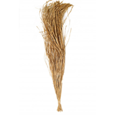 Bouquet de Raphia de bambou 250g - Haut. 100cm