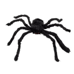Araignée géante 50 x 65cm