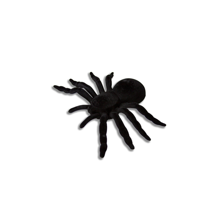 Mygale velours noir 20 x 14cm