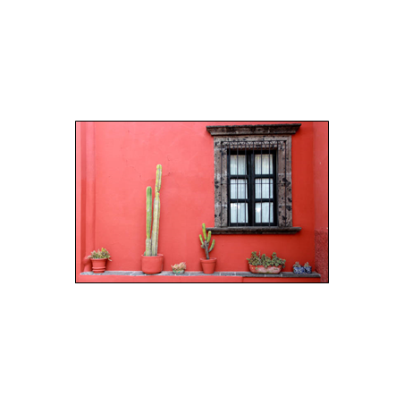 Visuel imprimé Mexique Cactus  et  Façade rouge - 40 x 30 cm sur bristol 350 gr