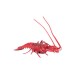 Langouste 3D - pvc - 33 x 19 cm