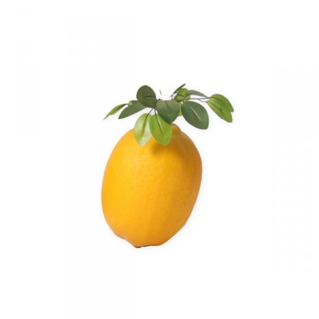 Citron géant - polystyrène - H. 32cm