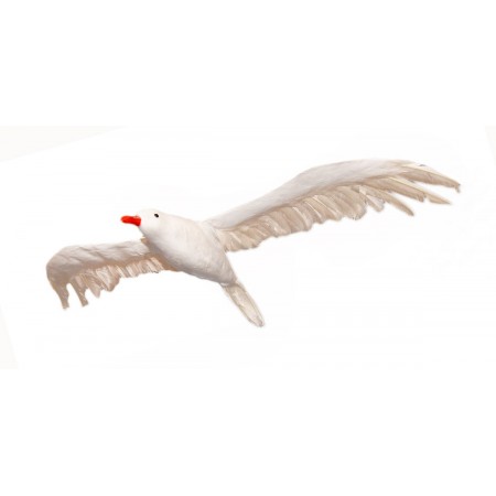 Mouette - polystyrène/plumes - envergure 85cm