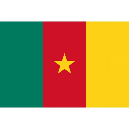 Drapeau Cameroun - tissu - 90 x 150cm  