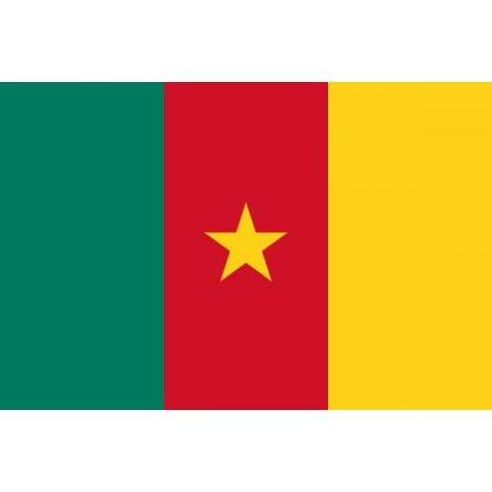 Drapeau Cameroun - tissu - 90 x 150cm