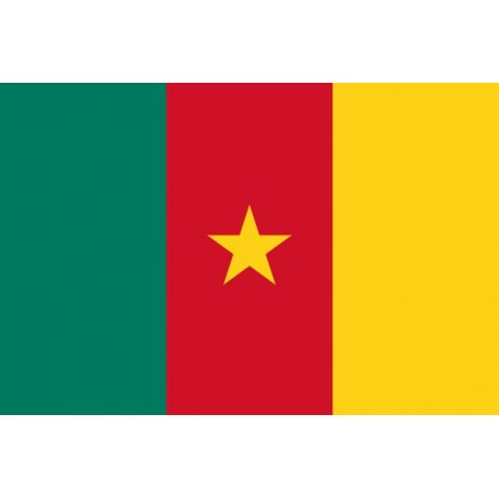 Drapeau Cameroun - tissu - 90 x 150cm  