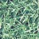 Tissu herbes M1 - Larg. 150 cm   (vendu au mètre)