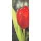 Kakémonos "tulipe"  + support - tissu - 75 x 180 cm
