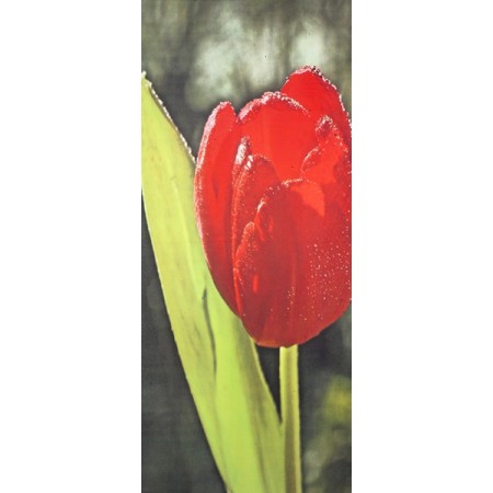 Kakémonos tulipe  + support - tissu - 75 x 180 cm*