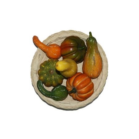 légumes d'automne x 7