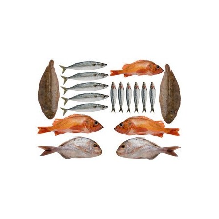 Mobiles Poissons de mer x 18 - carton