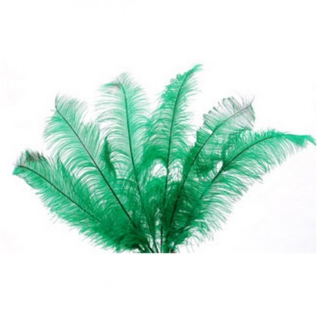 Plumes vertes - sachet de 6 - Long 60cm