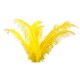 Plumes jaunes - sachet de 6 - Long 60cm