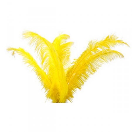 Plumes jaunes - sachet de 6 - Long 60cm