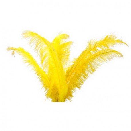 Plumes jaunes - sachet de 6 - Long 60cm