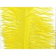 Plumes jaunes - sachet de 6 - Long 60cm