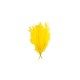 Plumes jaunes - sachet de 6 - Long 60cm