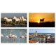 Mobiles Camargue x 4 - carton - 27 x 49 cm