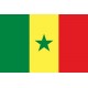 Drapeau Sénégal 60 x 90 cm - tissu
