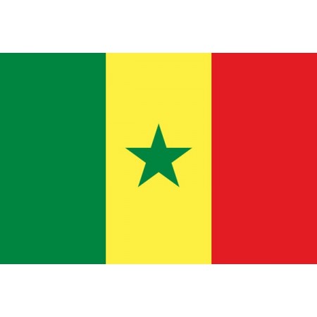 Drapeau Sénégal - tissu - 60 x 90cm