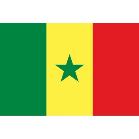 Drapeau Sénégal 60 x 90 cm - tissu