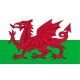 Drapeau Pays de Galles 60 x 90 cm  - tissu