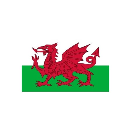 Drapeau Pays de Galles - tissu - 60 x 90cm