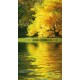 Kakemono paysage automne - 180 x 80 cm - Toile M1 avec structure  X- Banner