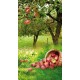 Kakemono Verger automne - 180 x 80 cm - Toile M1 avec structure  X- Banner